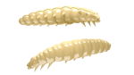 LIBRA LURES LARVA 35 mm Cheese, 12 Stück, 005 Cheese